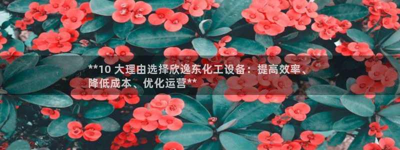 新城平台登录入口官网网址是多少