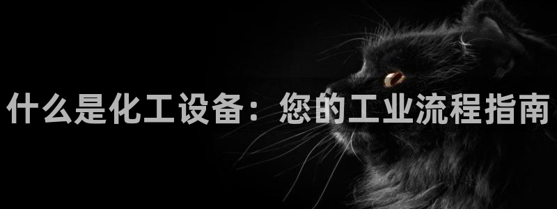 新城平台负责人电话