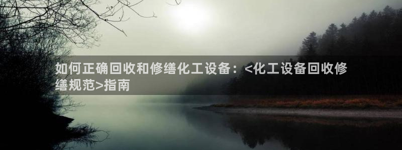 新城平台注册公司流程图