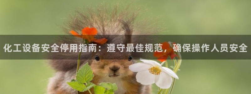 新城平台入.新城平台.全国联网是什么意思