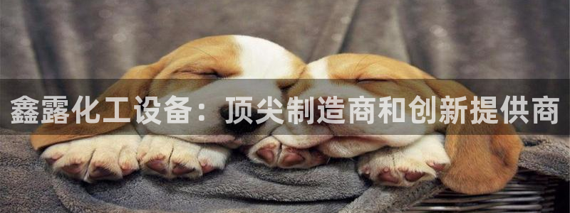新城平台注册流程视频
