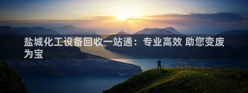 新城平台登录入口官网查询网址