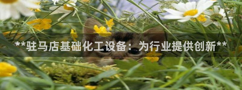 新城平台注册