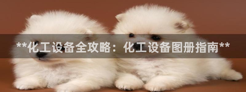新城平台平台最新活动有哪些