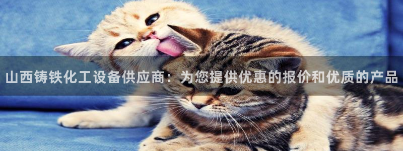 新城平台线路登录不上去了怎么办