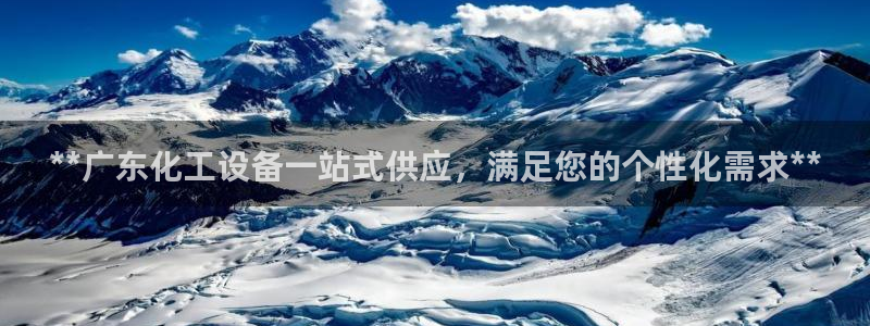 新城平台登录入口官网查询网址