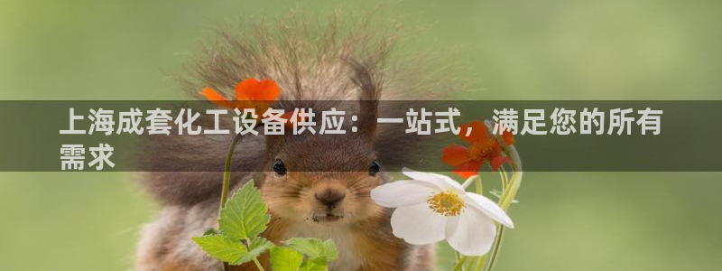 新城平台登录密码忘了怎么改