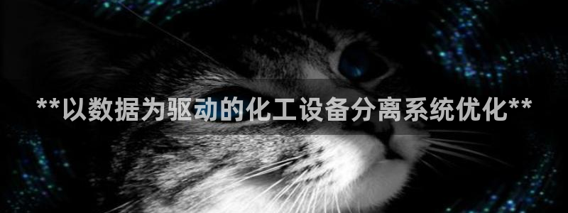新城平台登录入口官网首页查询