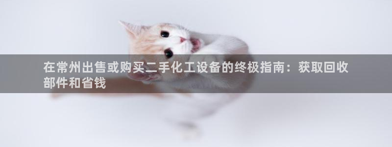 新城平台招商