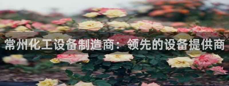 新城平台官网首页入口