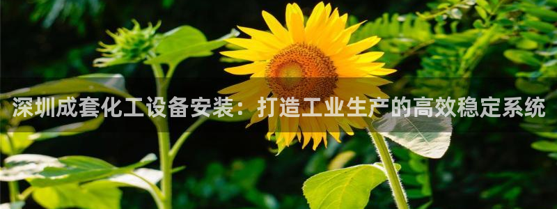新城平台一新城注册