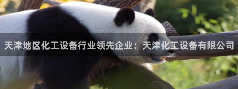 新城平台登录