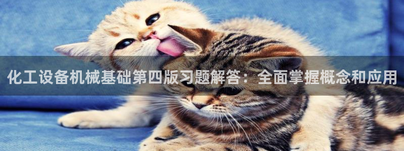 新城平台网址
