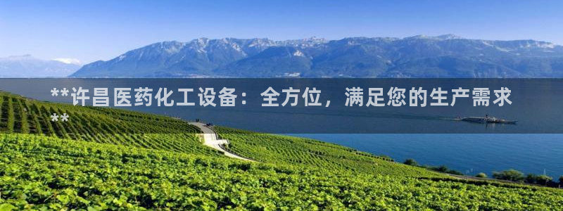 新城平台线路登录不上去