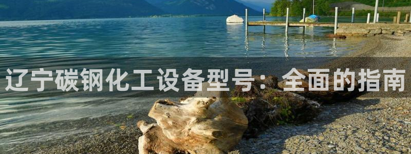 新城平台线路登录不上去怎么回事呀