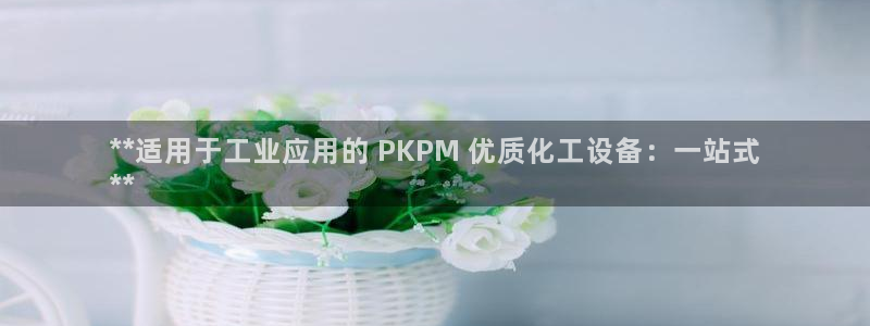 新城平台总代