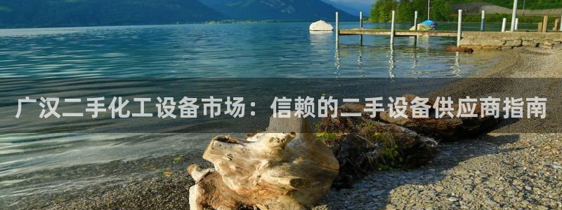 新城平台登录入口官网下载app