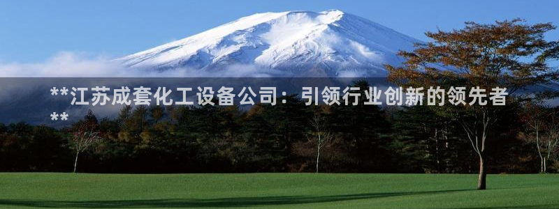 新城平台负责人是谁