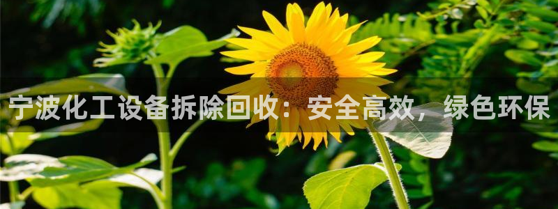 新城平台游戏