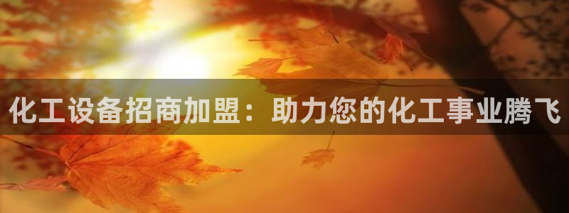 新城平台总代理是谁