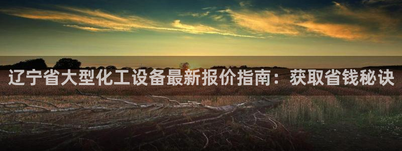 新城平台