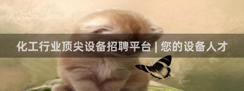 新城平台登录密码忘了怎么找回