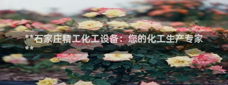 新城平台注册网址