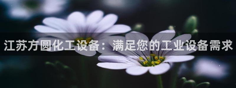 新城平台线路登录不上去了怎么回事