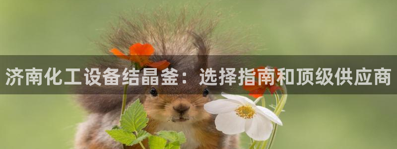 新城平台公司