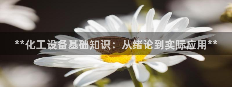 新城平台官网首页入口