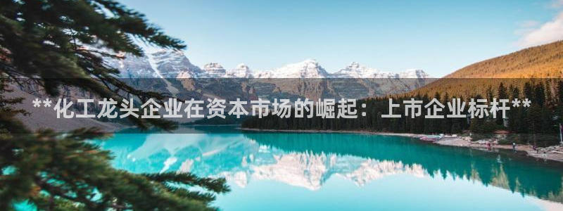 新城平台终7O777