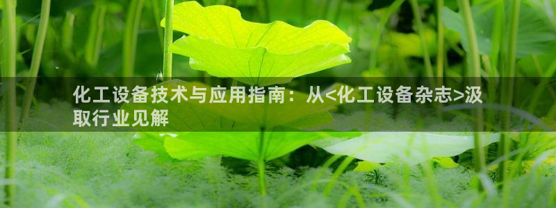 新城平台登录入口官网下载安装