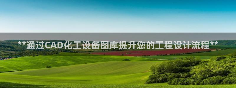 新城平台线路登录不上去怎么办