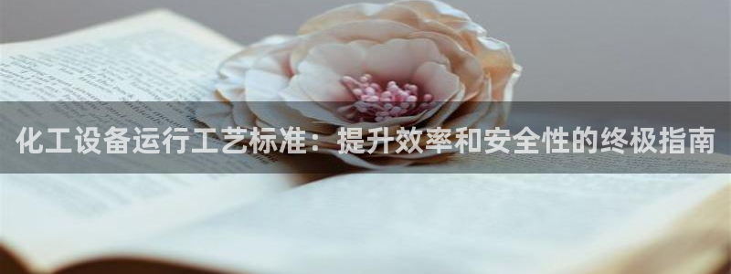 新城平台是干嘛的公司有哪些
