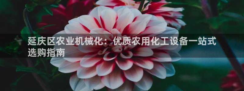 新城平台某7O777