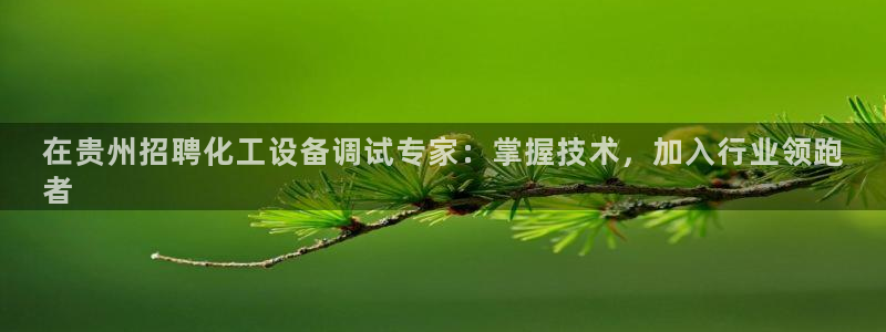 新城平台平台最新活动有哪些