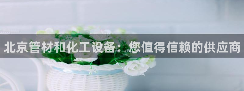 新城平台负责人名单