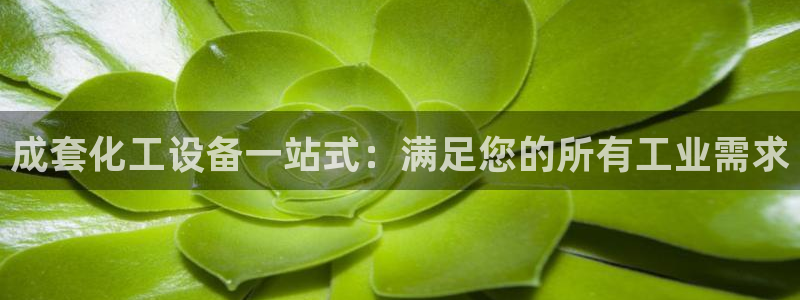 新城平台登录入口网址