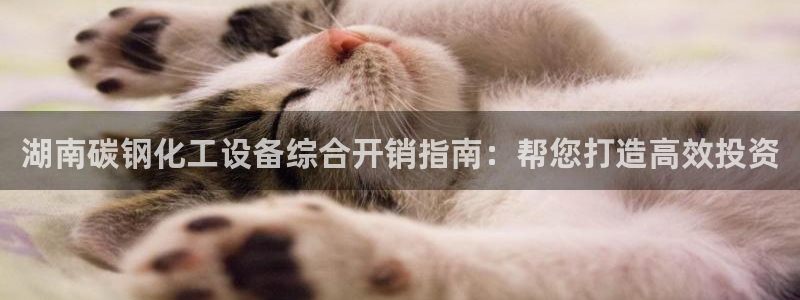 新城平台入.新城平台.全国联网是什么意思