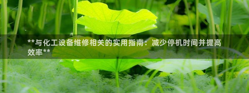 新城平台登录密码忘了怎么办
