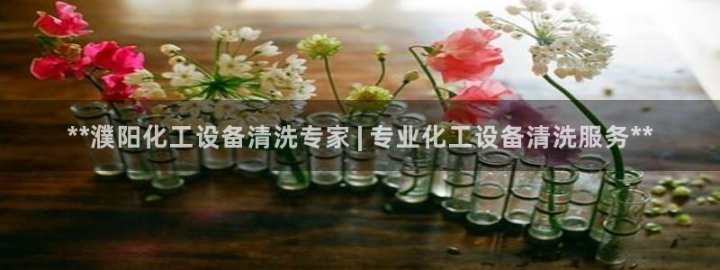 新城平台登录入口官网首页