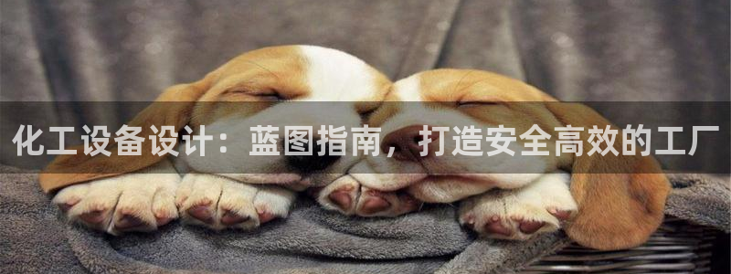 新城平台注册登录地址怎么填
