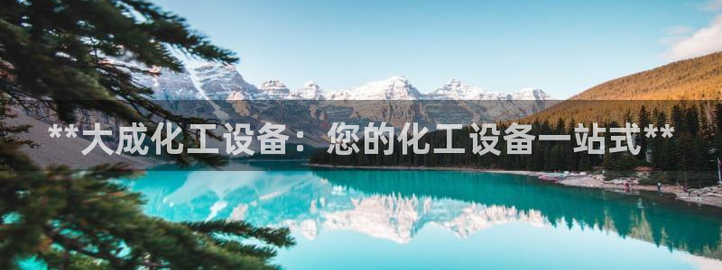新城平台线路登录不上去怎么办
