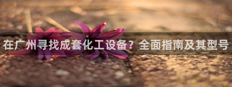 新城平台官网首页