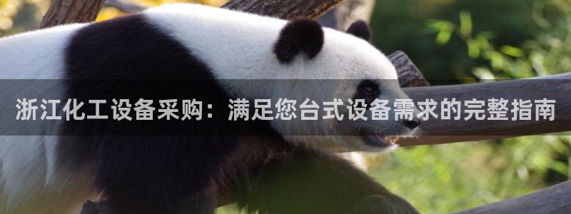 新城平台登录入口官网网址查询