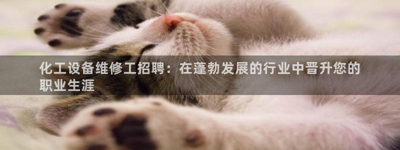 新城平台怎么样