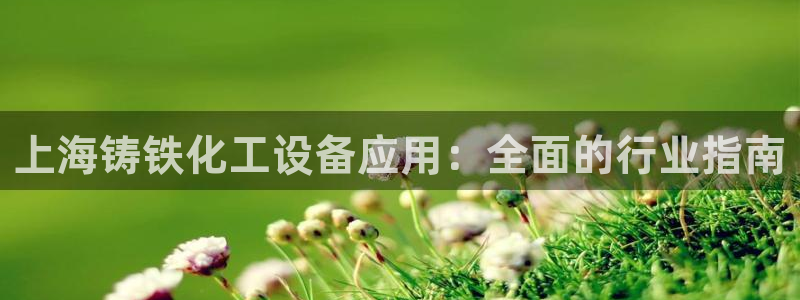 新城平台注册登录地址