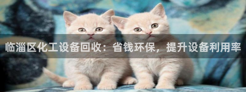 新城平台登录入口官网网址