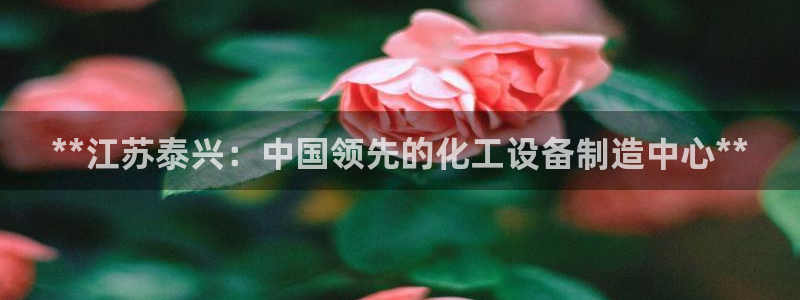 新城平台登录密码忘了怎么办