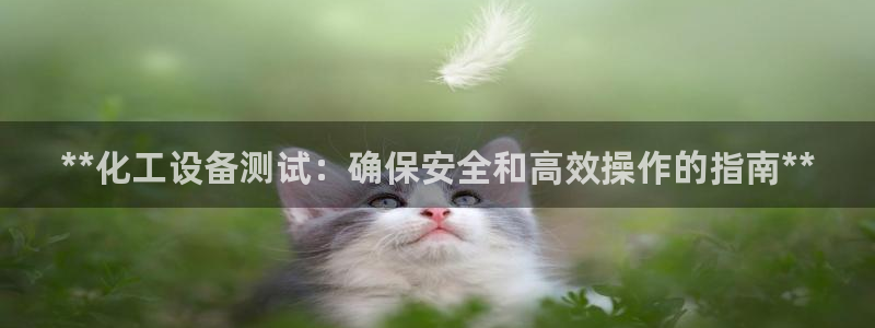 新城平台线路登录不上去怎么办呀